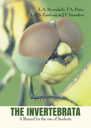 THE INVERTEBRATA