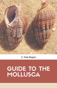 GUIDE TO THE MOLLUSCA