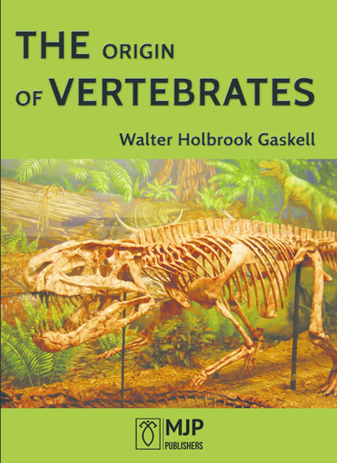 THE ORIGIN OF VERTEBRATES