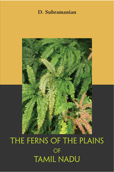 THE FERNS OF THE PLAINS OF TAMIL NADU