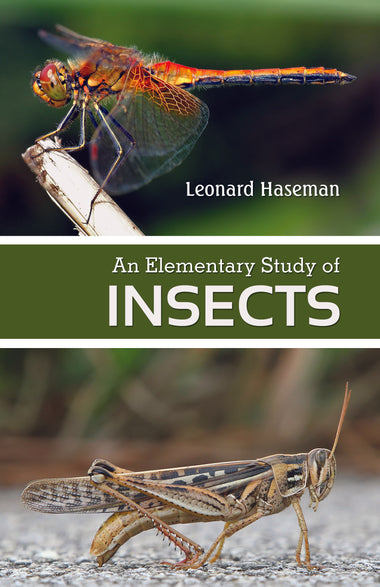An Elementary Study of insects