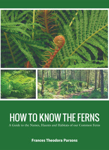 HOW TO KNOW THE FERNS