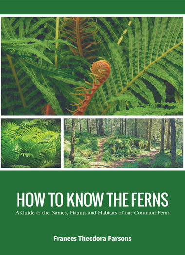 HOW TO KNOW THE FERNS